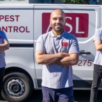 What Does Pest Control Sydney Actually Cost Homeowners Each Year?