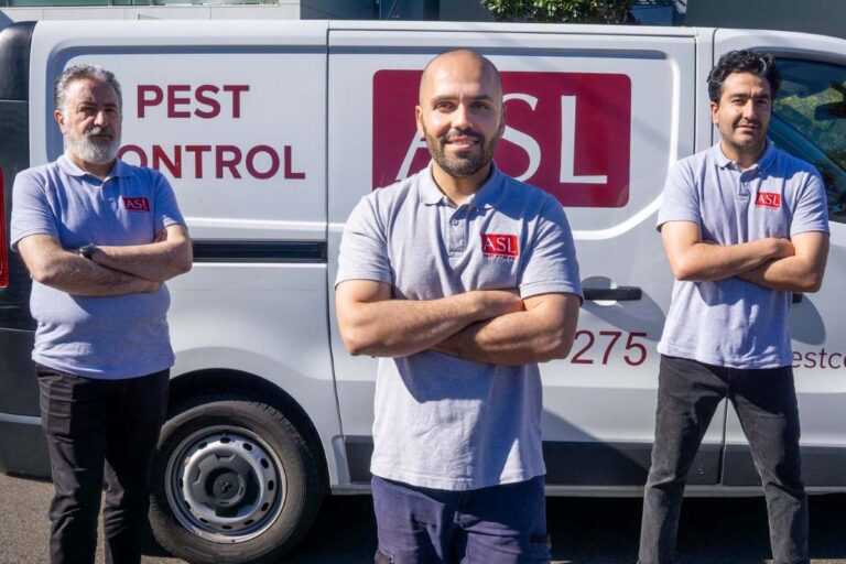 pest control blue mountains