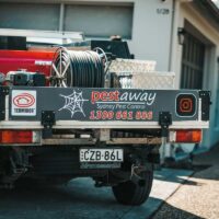 Is DIY Pest Control Blue Mountains Effective Against Bushland Wildlife?