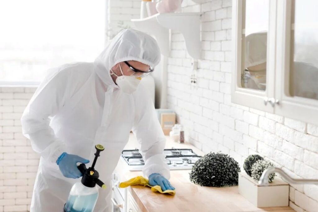 pest control service in sydney
