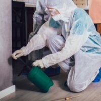 What Should You Look For In A Pest Control Service In Sydney