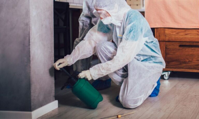 pest control service in sydney